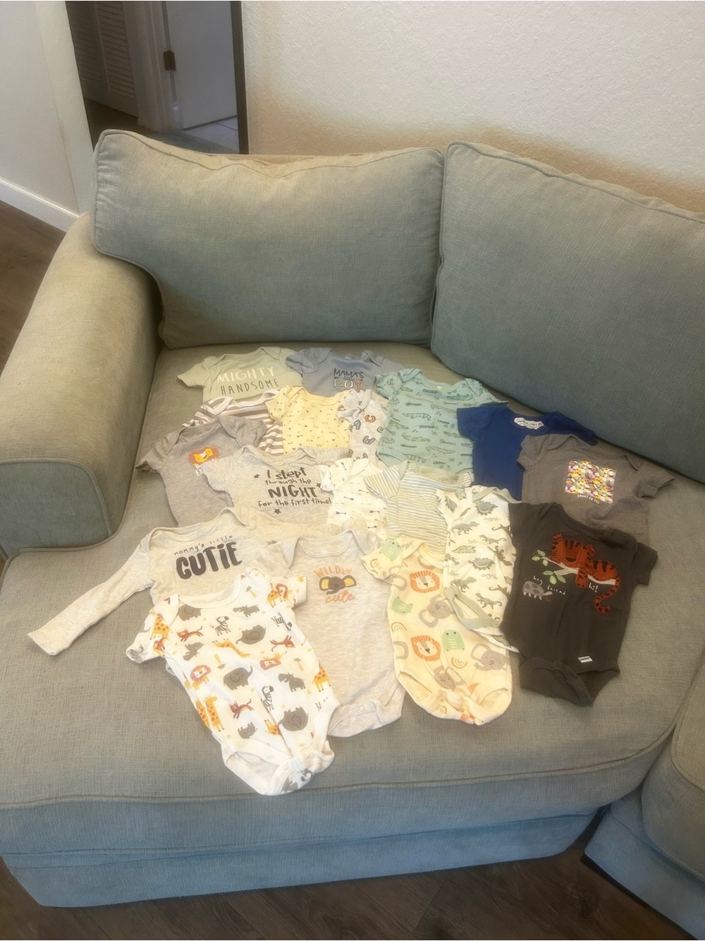Lot of 18 Boy’s Onesies
